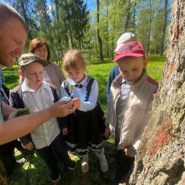 Дендролог РГО провёл практическое занятие со школьниками в ООПТ “Старый парк в селе Куркино”