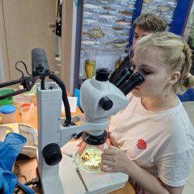 Томский государственный университет направил своих практикантов-биологов в Вологду